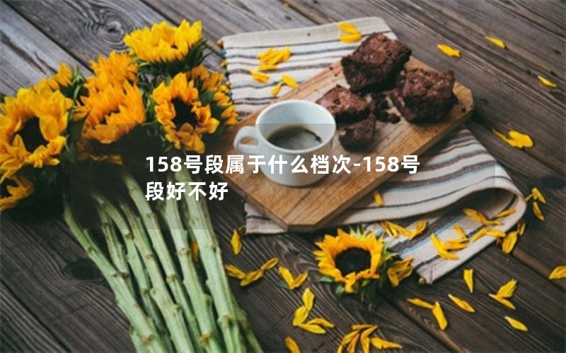 158号段属于什么档次-158号段好不好