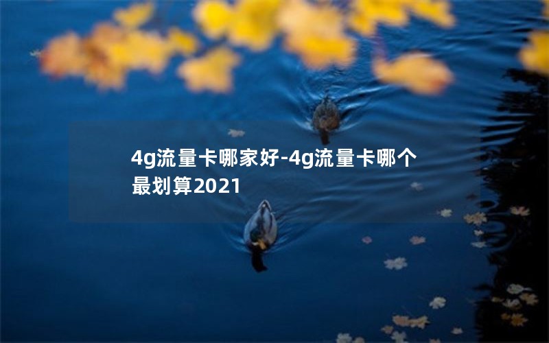 4g流量卡哪家好-4g流量卡哪个最划算2021