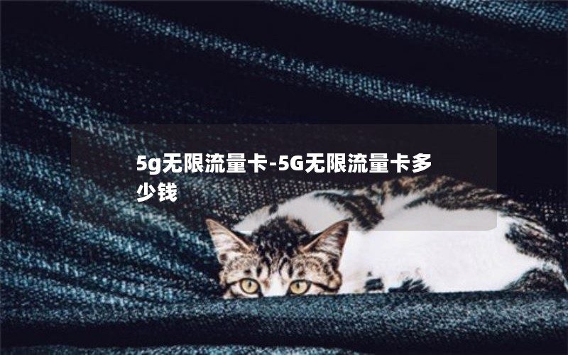 5g无限流量卡-5G无限流量卡多少钱