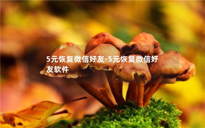 5元恢复微信好友-5元恢复微信好友软件