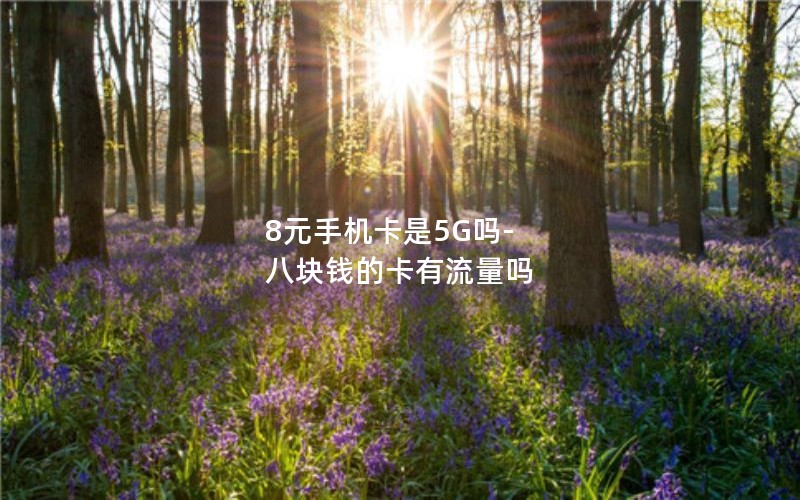 8元手机卡是5G吗-八块钱的卡有流量吗