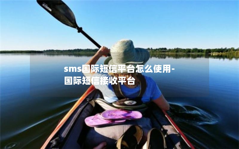 sms国际短信平台怎么使用-国际短信接收平台