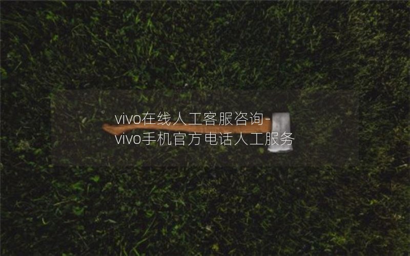 vivo在线人工客服咨询-vivo手机官方电话人工服务