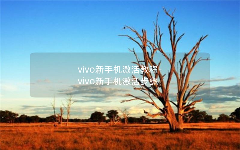 vivo新手机激活教程-vivo新手机激活步骤