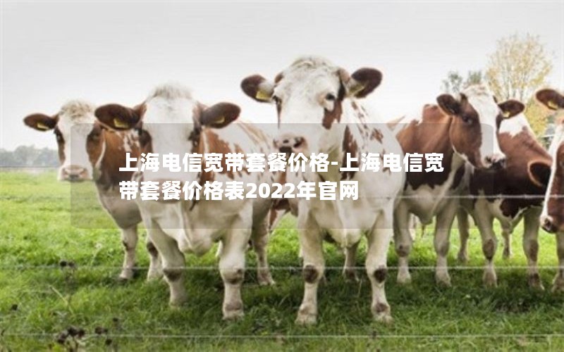 上海电信宽带套餐价格-上海电信宽带套餐价格表2022年官网