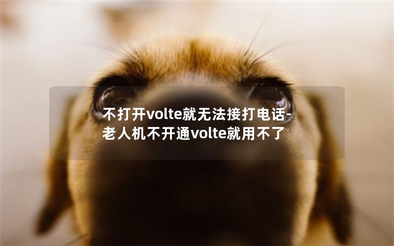 不打开volte就无法接打电话-老人机不开通volte就用不了