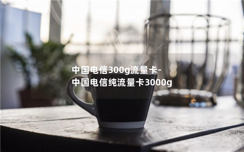 中国电信300g流量卡-中国电信纯流量卡3000g