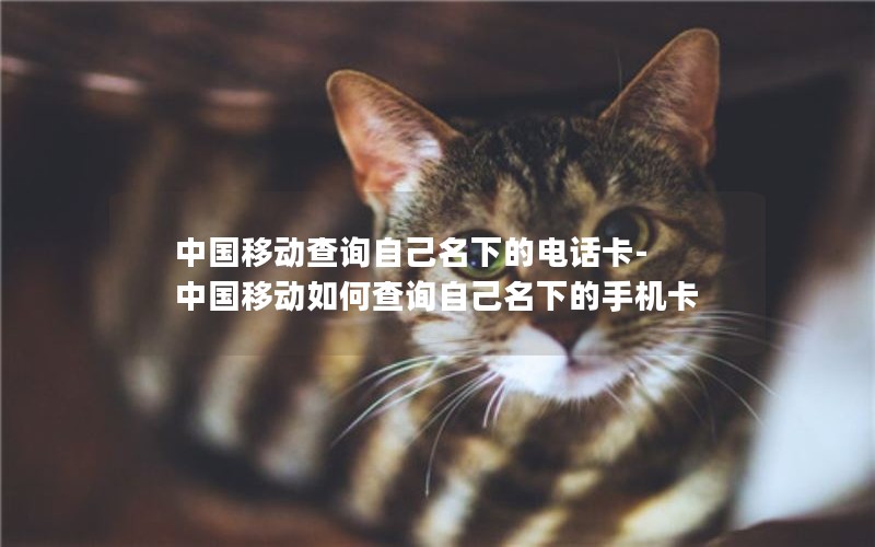 中国移动查询自己名下的电话卡-中国移动如何查询自己名下的手机卡