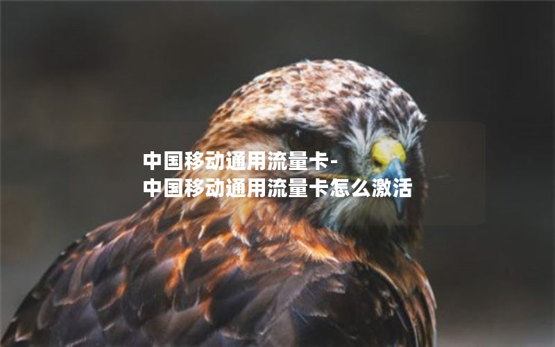 流量卡推荐低价套餐_流量卡最优惠