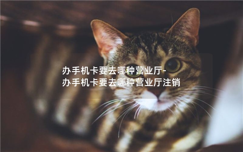 流量卡电话卡有几种套餐_流量电话卡有哪些