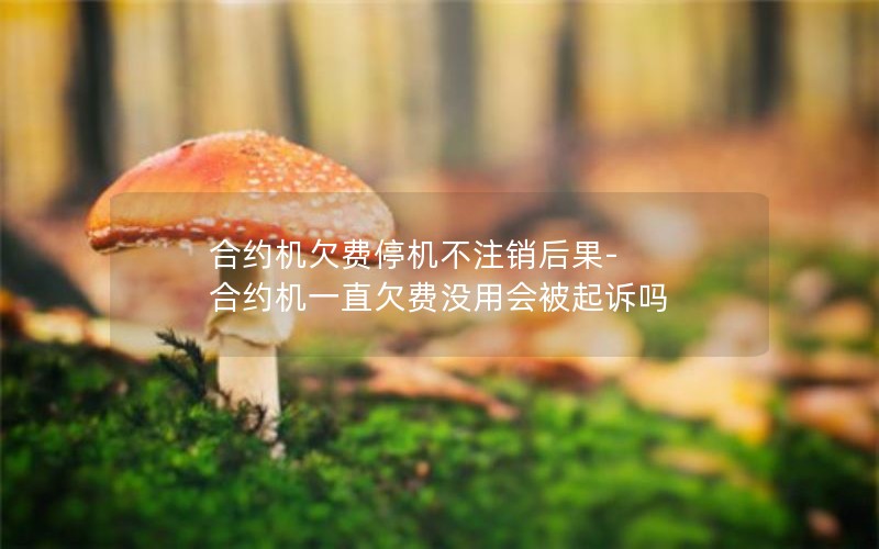 合约机欠费停机不注销后果-合约机一直欠费没用会被起诉吗