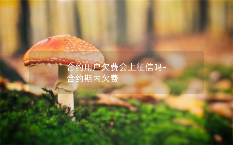 合约用户欠费会上征信吗-合约期内欠费