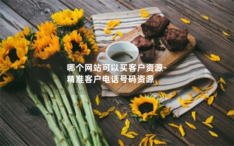 哪个网站可以买客户资源-精准客户电话号码资源