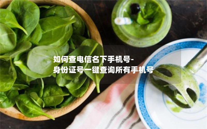 如何查电信名下手机号-身份证号一键查询所有手机号