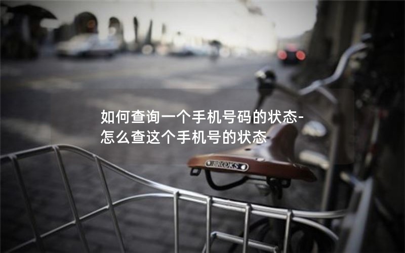 如何查询一个手机号码的状态-怎么查这个手机号的状态