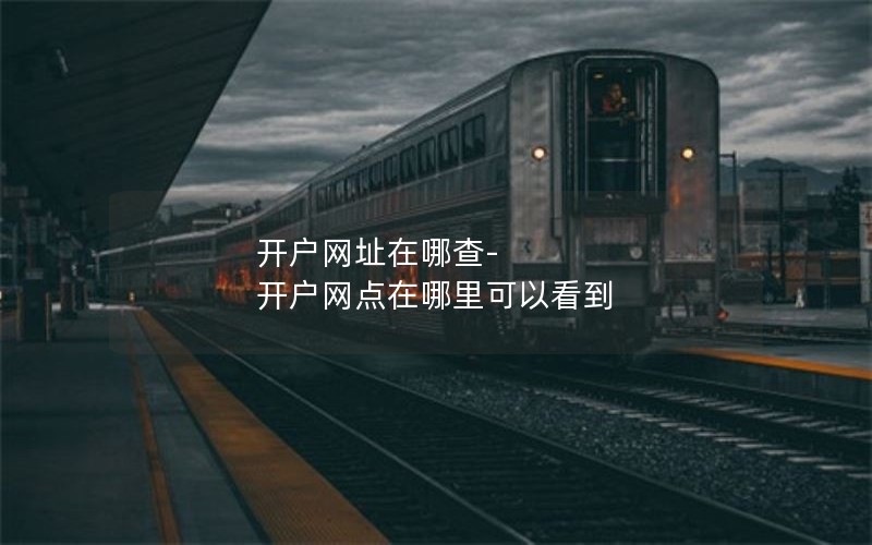 开户网址在哪查-开户网点在哪里可以看到