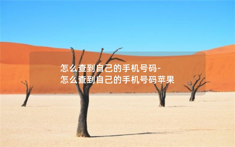 怎么查到自己的手机号码-怎么查到自己的手机号码苹果