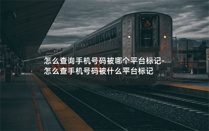 怎么查询手机号码被哪个平台标记-怎么查手机号码被什么平台标记