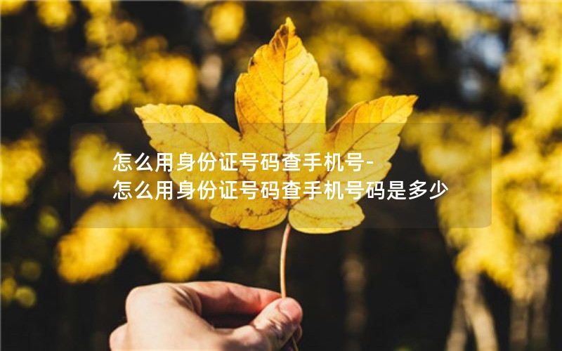 怎么用身份证号码查手机号-怎么用身份证号码查手机号码是多少