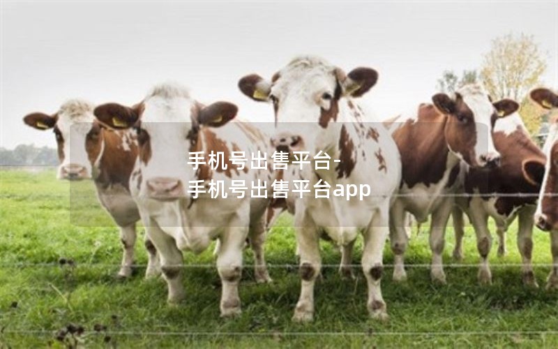 手机号出售平台-手机号出售平台app