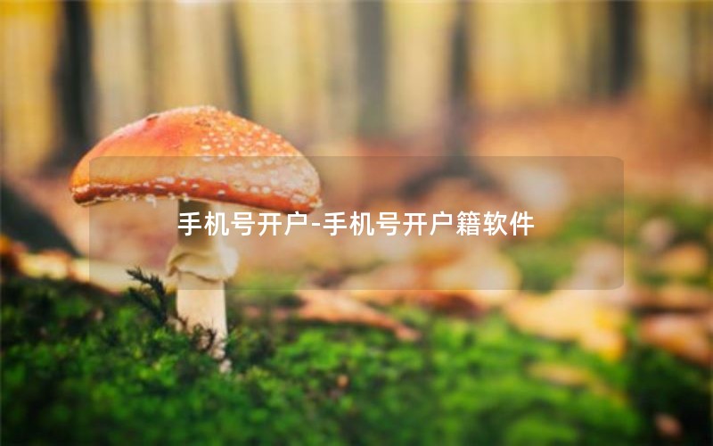 手机号开户-手机号开户籍软件