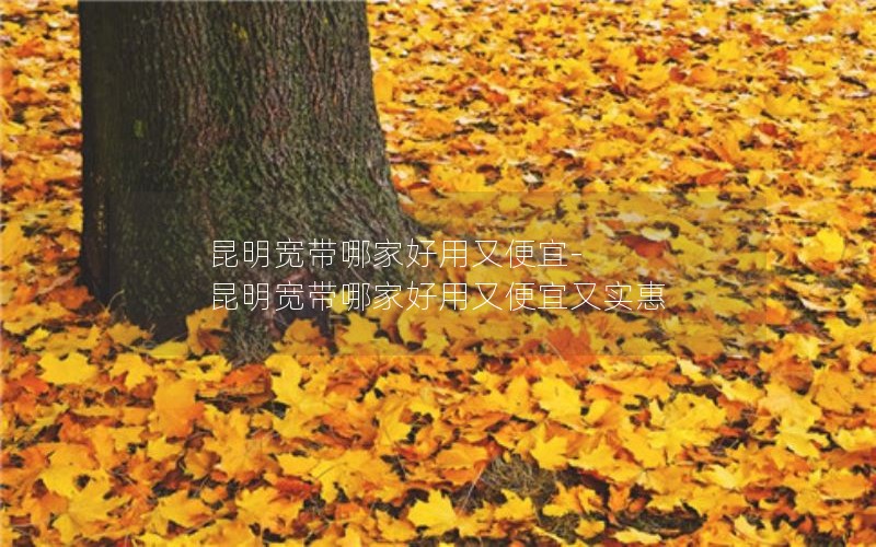 济宁联通无限流量卡套餐_济宁联通无限流量卡套餐价格表