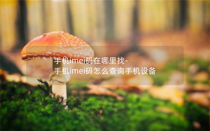 手机imei码在哪里找-手机imei码怎么查询手机设备