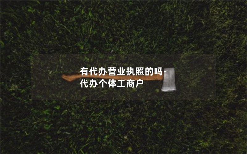 有代办营业执照的吗-代办个体工商户