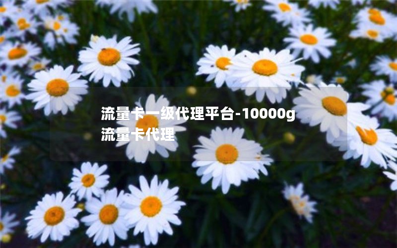 流量卡一级代理平台-10000g流量卡代理