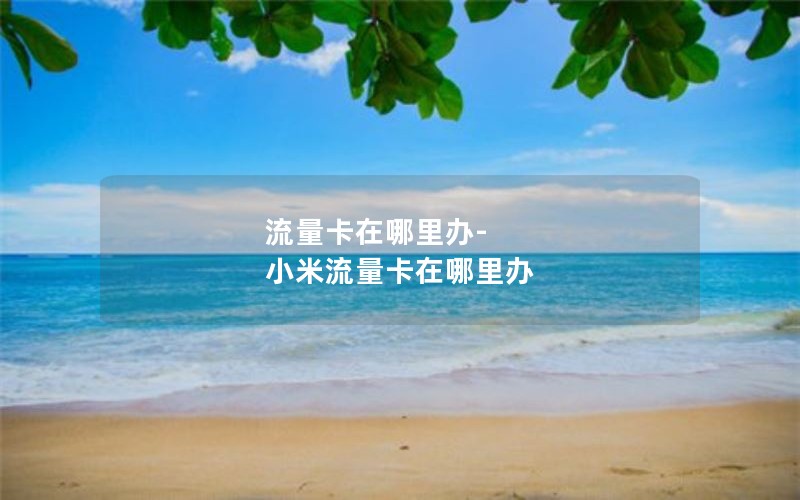 流量卡在哪里办-小米流量卡在哪里办