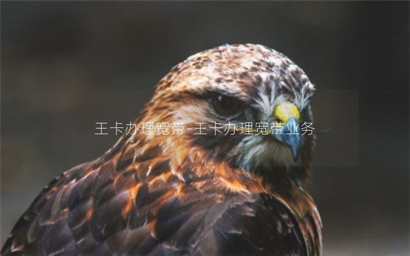 王卡办理宽带-王卡办理宽带业务