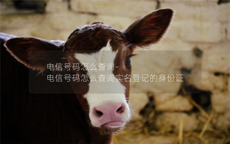 浙江腾讯联通大王卡套餐_联通腾讯大王卡套餐介绍(该怎么用才划算)