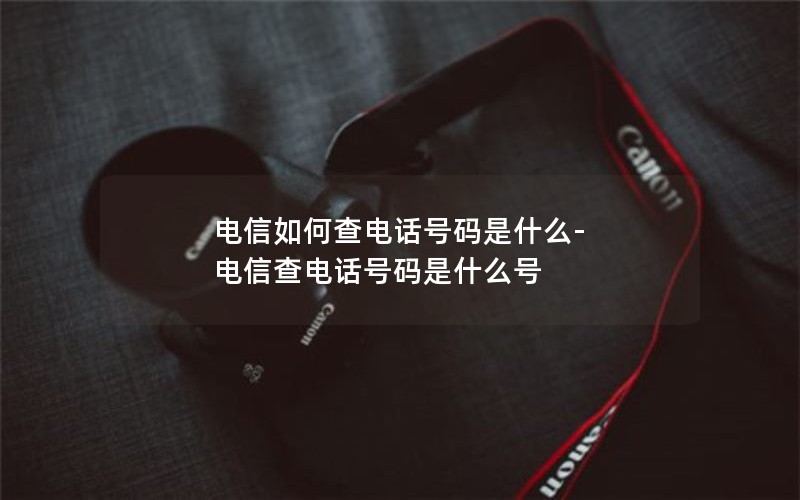 电信如何查电话号码是什么-电信查电话号码是什么号