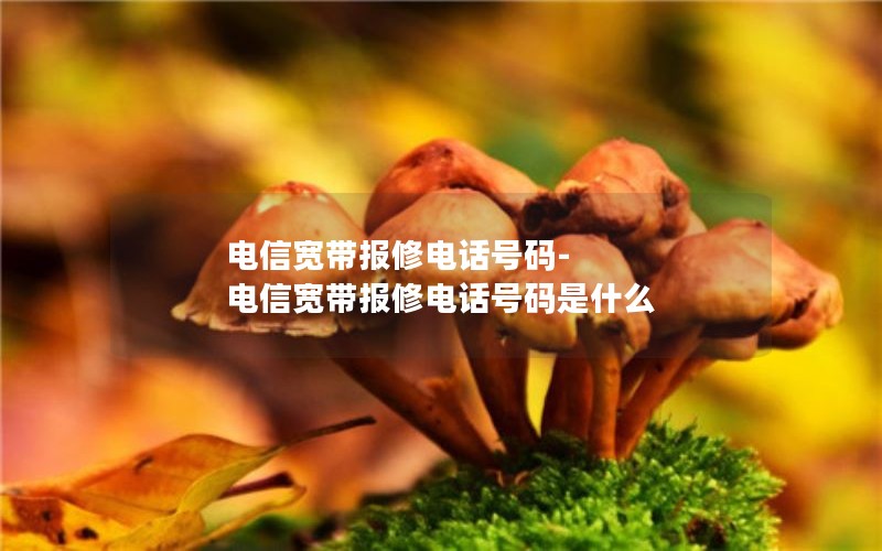 电信宽带报修电话号码-电信宽带报修电话号码是什么