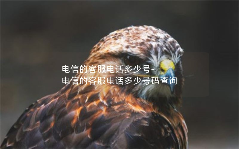 电信的客服电话多少号-电信的客服电话多少号码查询