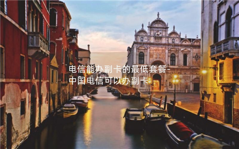 电信能办副卡的最低套餐-中国电信可以办副卡