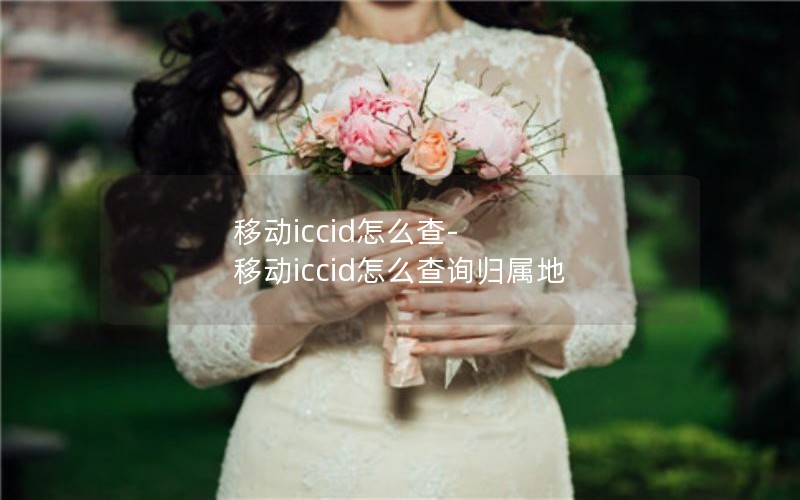 移动iccid怎么查-移动iccid怎么查询归属地