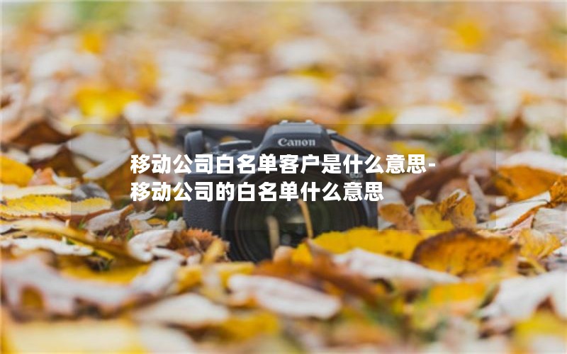 移动公司白名单客户是什么意思-移动公司的白名单什么意思