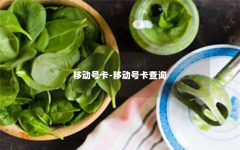 移动号卡-移动号卡查询