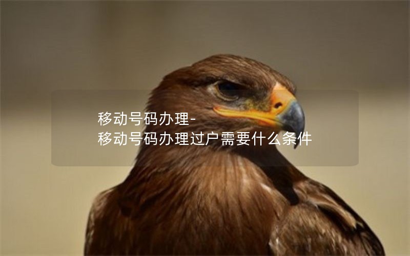 移动号码办理-移动号码办理过户需要什么条件