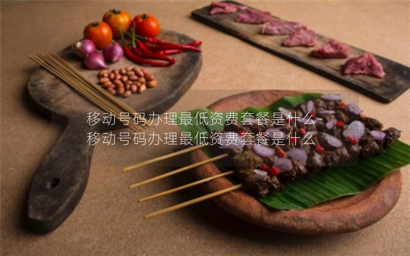 移动号码办理最低资费套餐是什么-移动号码办理最低资费套餐是什么