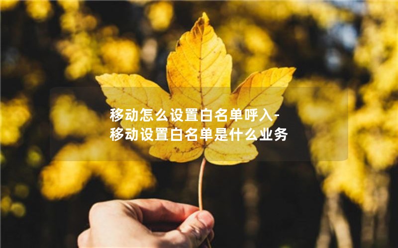 移动怎么设置白名单呼入-移动设置白名单是什么业务