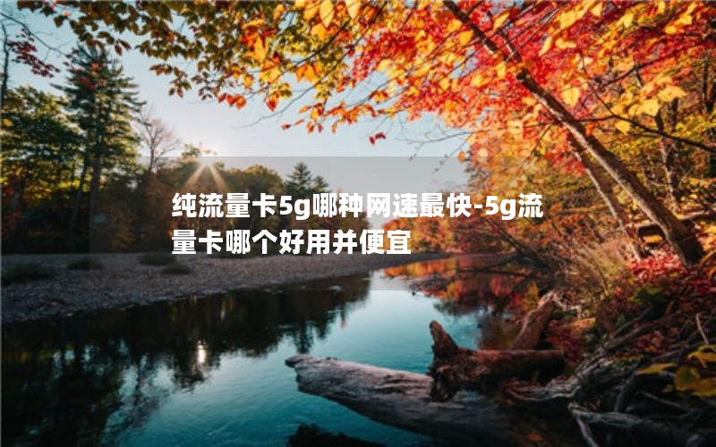 纯流量卡5g哪种网速最快-5g流量卡哪个好用并便宜