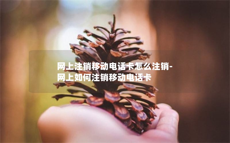 网上注销移动电话卡怎么注销-网上如何注销移动电话卡