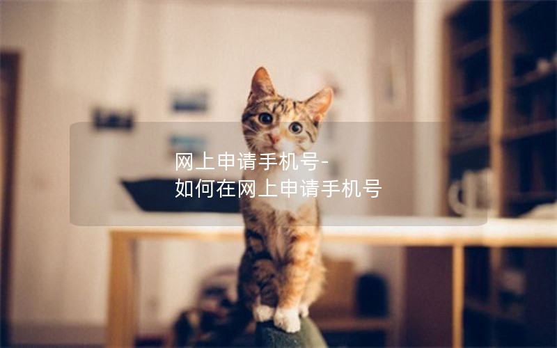 网上申请手机号-如何在网上申请手机号