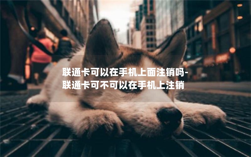 联通卡可以在手机上面注销吗-联通卡可不可以在手机上注销