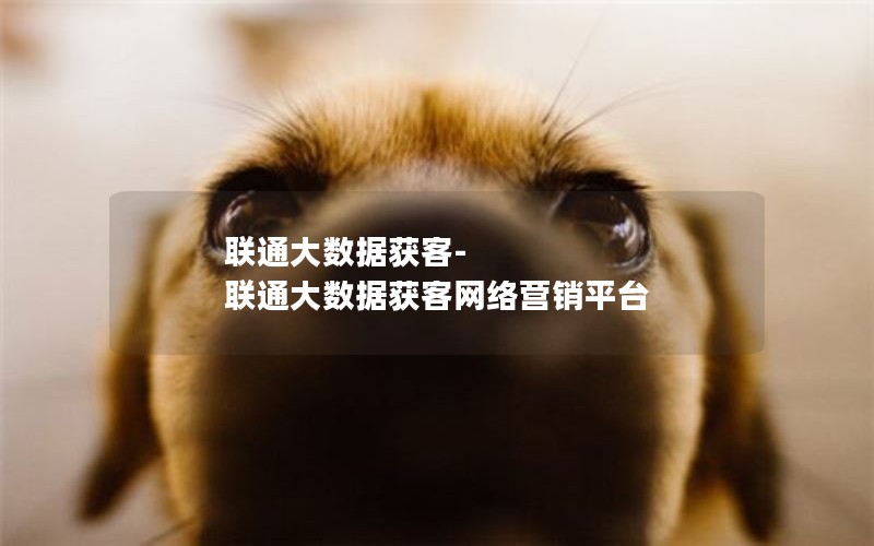 联通大数据获客-联通大数据获客网络营销平台