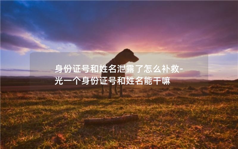 身份证号和姓名泄露了怎么补救-光一个身份证号和姓名能干嘛