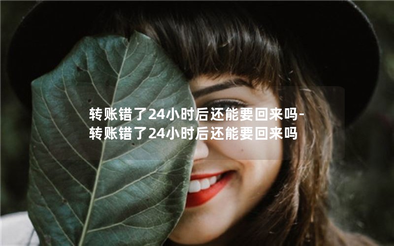 转账错了24小时后还能要回来吗-转账错了24小时后还能要回来吗