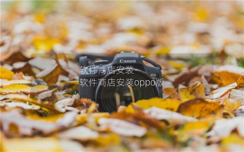 软件商店安装-软件商店安装oppo版